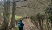 Tocht Noords wandelen Wezet - julienne - Photo 14