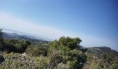 Trail Walking Signes - oppidum essai - Photo 5