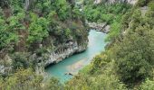 Percorso Marcia Rougon - GR4 Jour 8 Rougon - Les Cavaliers 24-05-2021 - Photo 4