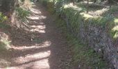 Trail Walking Ploemel - PR_56_Ploemel_BA_02_Chapelles-Et-Fontaines_Circuit1b_20230810 - Photo 1