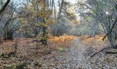 Trail Walking Cazenave-Serres-et-Allens - cabane du pla de Tabe - Photo 3