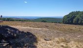 Tocht Stappen Curières - la croix du Pal - Photo 2