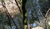 Tocht Stappen Vallon-Pont-d'Arc - cascade de pissevieille  - Photo 10