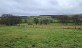 Trail Walking Bertogne - Longchamps 160126 - Photo 2