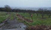 Percorso Bici da strada Saulny - fèves - Photo 2