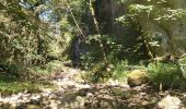 Trail Walking Bouvante - 26 gorges lyonne 23.08.23 - Photo 3