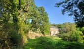 Excursión Senderismo Brousse-le-Château - Boucle au départ de Brousse-le-château - Photo 9