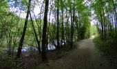 Randonnée V.T.T. La Hulpe - VTT sur la forêt de soignes - Photo 3