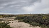 Randonnée Marche Camiers - Baie de Canches et retour par la mer - Photo 5