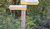 Trail Walking Signes - Signes - L'éléphant de pierre - Photo 10