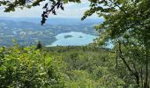 Tour Wandern Aiguebelette-le-Lac - L’épine et le lac d’Aiguebelette  - Photo 11