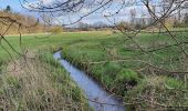 Excursión A pie Rotenburg - Nordpfad 'Rotenburger Wasserreich' - Photo 10