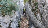 Randonnée Marche Monieux - Gorges de la Nesque - Photo 12