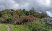 Trail Walking L'Albère - ullat - san-cristau / retour par la piste  - Photo 9