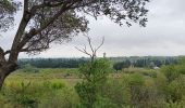 Tour Wandern Canet-en-Roussillon - petit tour à l´arboretum de Canet ... bof bof bof  - Photo 4