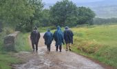 Tocht Stappen Sarria - Sarria Portomarin  - Photo 3