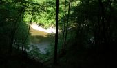 Trail On foot Houyet - GrWandArdRiv27: Gendron: een prachtig stuk Beneden-Lesse (PVDB) - Photo 10