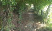 Percorso Marcia Fridefont - Les gorges de Bès  - Photo 1