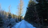 Trail Walking Saint Vith - Rodt - BierMuseum ❄️ - Photo 10