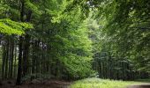 Randonnée A pied Hukvaldy - Naučná stezka Janáčkův chodníček - Photo 10