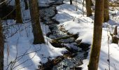 Tour Zu Fuß Nordhalben - Fichtera Weg RT 31 - Photo 10