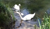 Tour Wandern Maisons-Alfort - Mausobs Alfort bois de Vincennes  - Photo 12