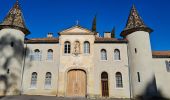 Randonnée A pied Méounes-lès-Montrieux - le tour des puy - Photo 2