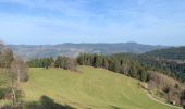 Tocht Stappen Breitenbach-Haut-Rhin - Christlegut steinberg (nouvel an) - Photo 8