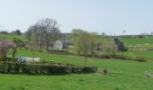 Trail On foot Stoumont - GrWandArd12: Rahier de groene hoogten tussen Ambleve en Lienne - Photo 10