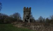 Tour Wandern Braine-le-Château - braine le château  - Photo 5