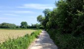 Tocht Stappen Hannuit - La balade des chevées (5km)  - Photo 20