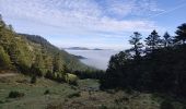 Tour Wandern Unknown - Le pic de Savis - Photo 2