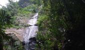 Excursión Senderismo Le Prêcheur - Cascade Couleuvre - Photo 9