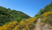 Tour Wandern Goesdorf - Goebelsmühle  - Photo 18