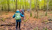 Trail On foot Bombon - Boucle 30 km autour de Bombon - Photo 9