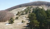 Trail Walking Val-Maravel - Le Luzet - Montagne Chauvet (Val-Maravel en Diois)... - Photo 10