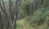 Tocht Stappen Vianden - vianden . stolzemmbour  - Photo 12