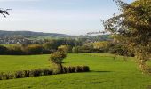 Tocht Stappen Baelen - Membach - Limbourg - Barrage de la Gileppe - Photo 4