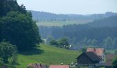 Tour Zu Fuß Bodnegg - Rundwanderweg 2 der Gemeinde Bodnegg - Photo 6