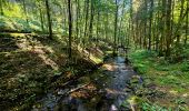 Tour Wandern Vresse-sur-Semois - Balade à Orchimont - Les Moinils - Photo 4