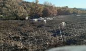 Tour Wandern Ongles - ONGLES Sentier de Seignes Lardiers Ongles o n  - Photo 4