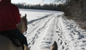 Tocht Paardrijden Saint-Martin - neige kaline vispa  - Photo 4