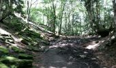 Excursión Carrera Etsaut - ETSAUT Chemin de la mâture col d Arras - Photo 3