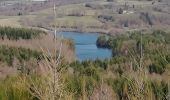 Randonnée Marche Peyrelevade - Fred lac du Chammet  - Photo 1