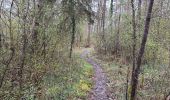 Trail Walking Les Riceys - Ricey bois, cadoles et vignes 13 km - Photo 7