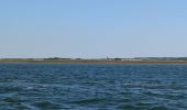 Randonnée Bateau à moteur Arcachon - Tour de l'île aux Oiseaux - Photo 11