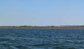 Trail Motorboat Arcachon - Tour de l'île aux Oiseaux - Photo 11