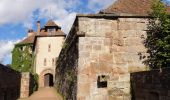 Trail On foot La Petite-Pierre - Anneau bleu - Photo 10