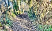 Tour Wandern Hannut - La Balade des Chevées - Photo 9