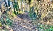 Excursión Senderismo Hannut - La Balade des Chevées - Photo 9